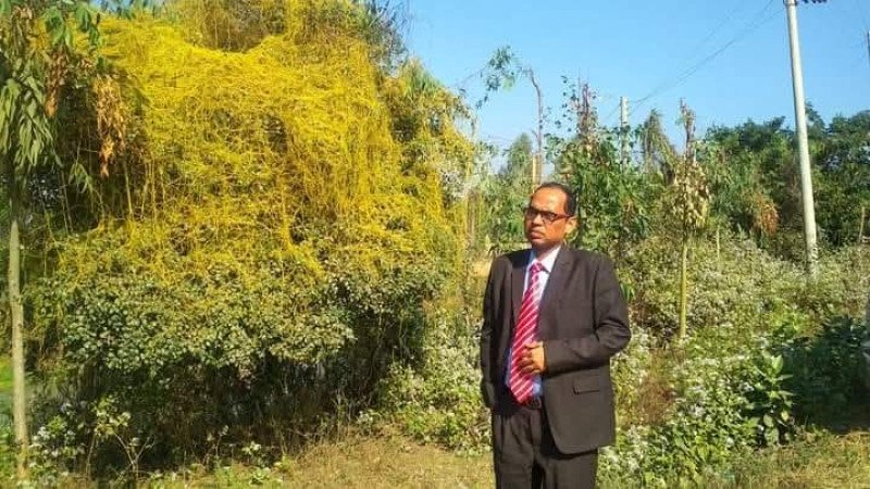 এ কে সরকার শাওন এর কবিতা  "স্বর্ণলতা"