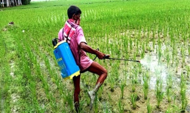 কীটনাশকের কারণে বন্ধ্যাত্ব বাড়ছে