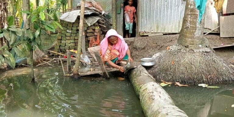 অপরিকল্পিত উন্নয়নে জলাবদ্ধ শরণখোলা, ছয় মাস পানিবন্দী দুই শতাধিক পরিবার